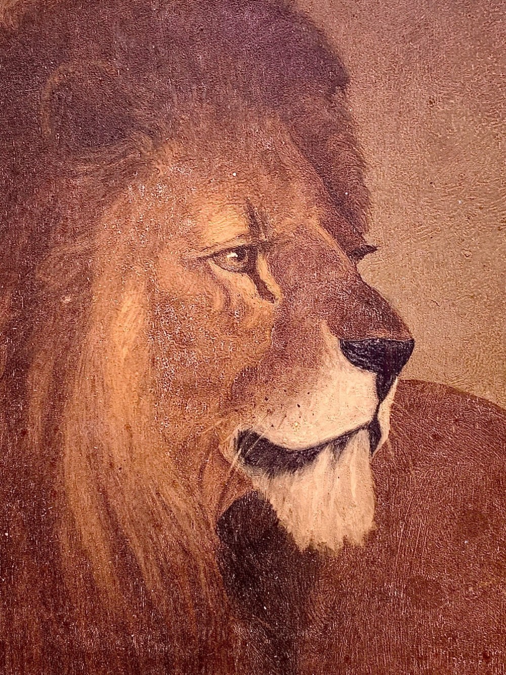 A late 19th-century naive folk art oil painting depicting the profile head study of a male lion rendered in warm brown tones. View III