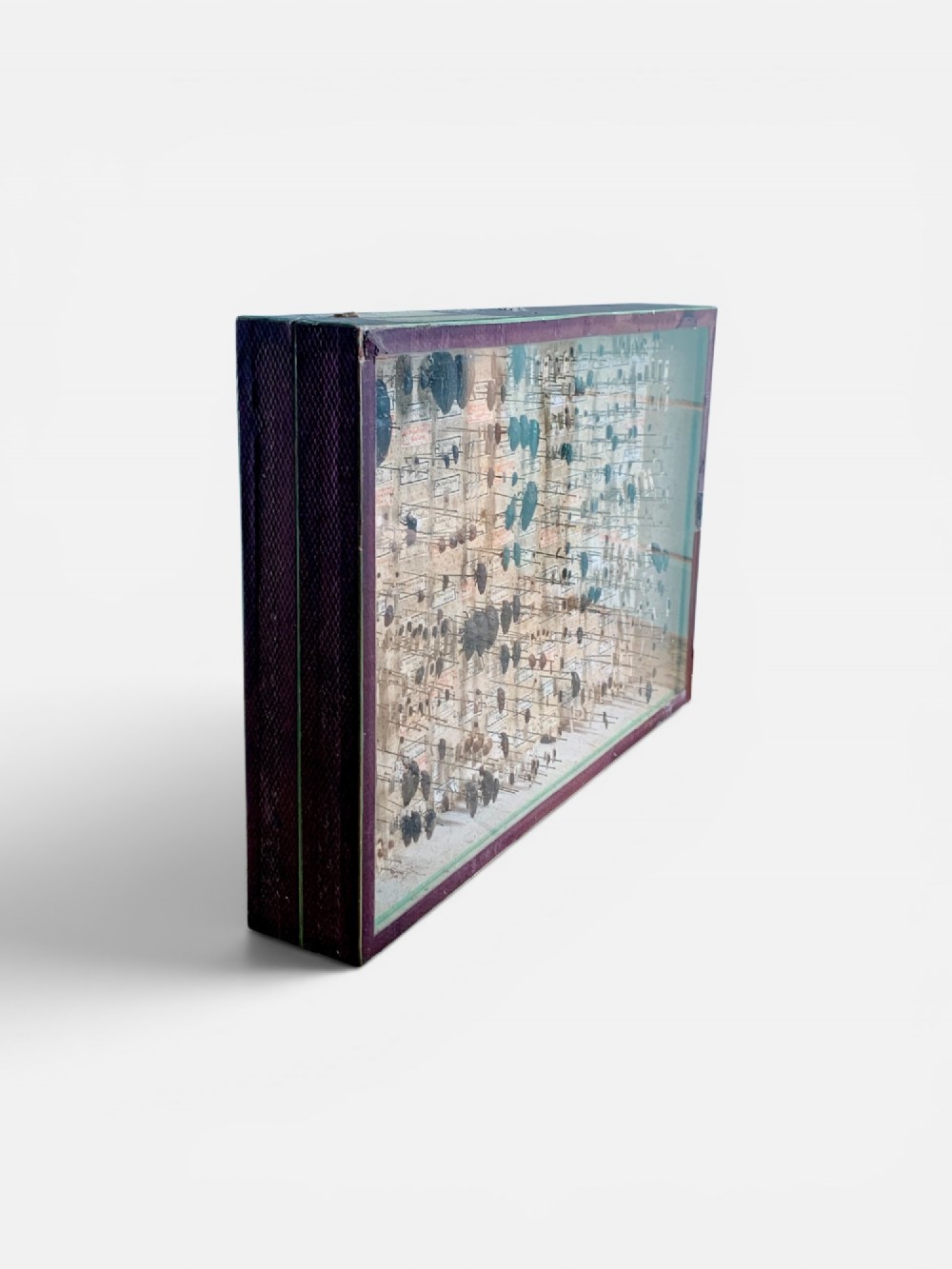 A rectangular wooden framed glazed display case containing rows of pinned beetle specimens with handwritten paper taxonomy labels. View III