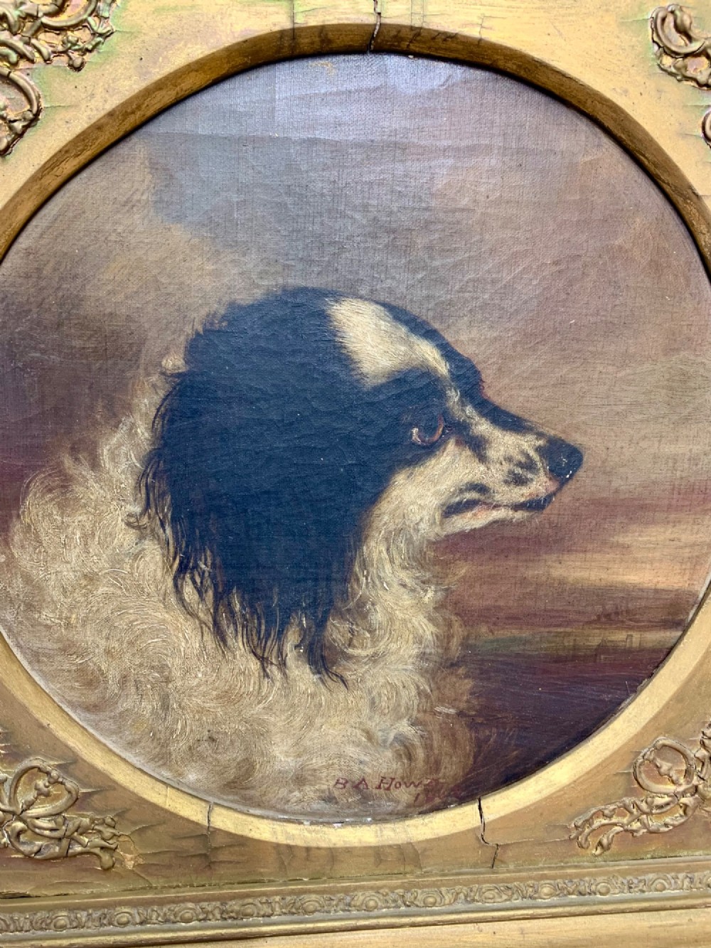 A 19th-century profile portrait painting of a black and white spaniel in oil, set inside a gold giltwood frame with an oval spandrel mount. View II