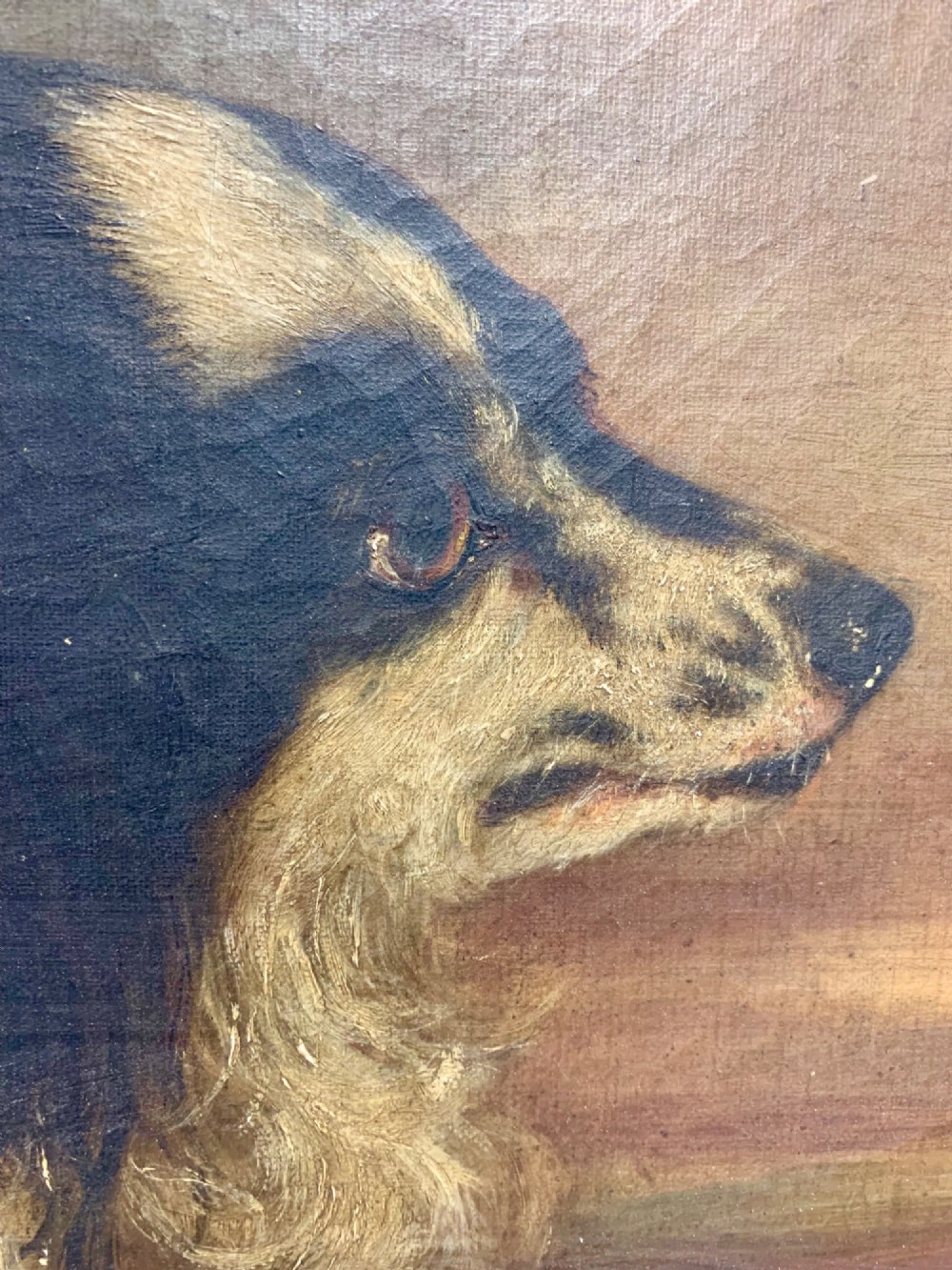 A 19th-century profile portrait painting of a black and white spaniel in oil, set inside a gold giltwood frame with an oval spandrel mount. View V