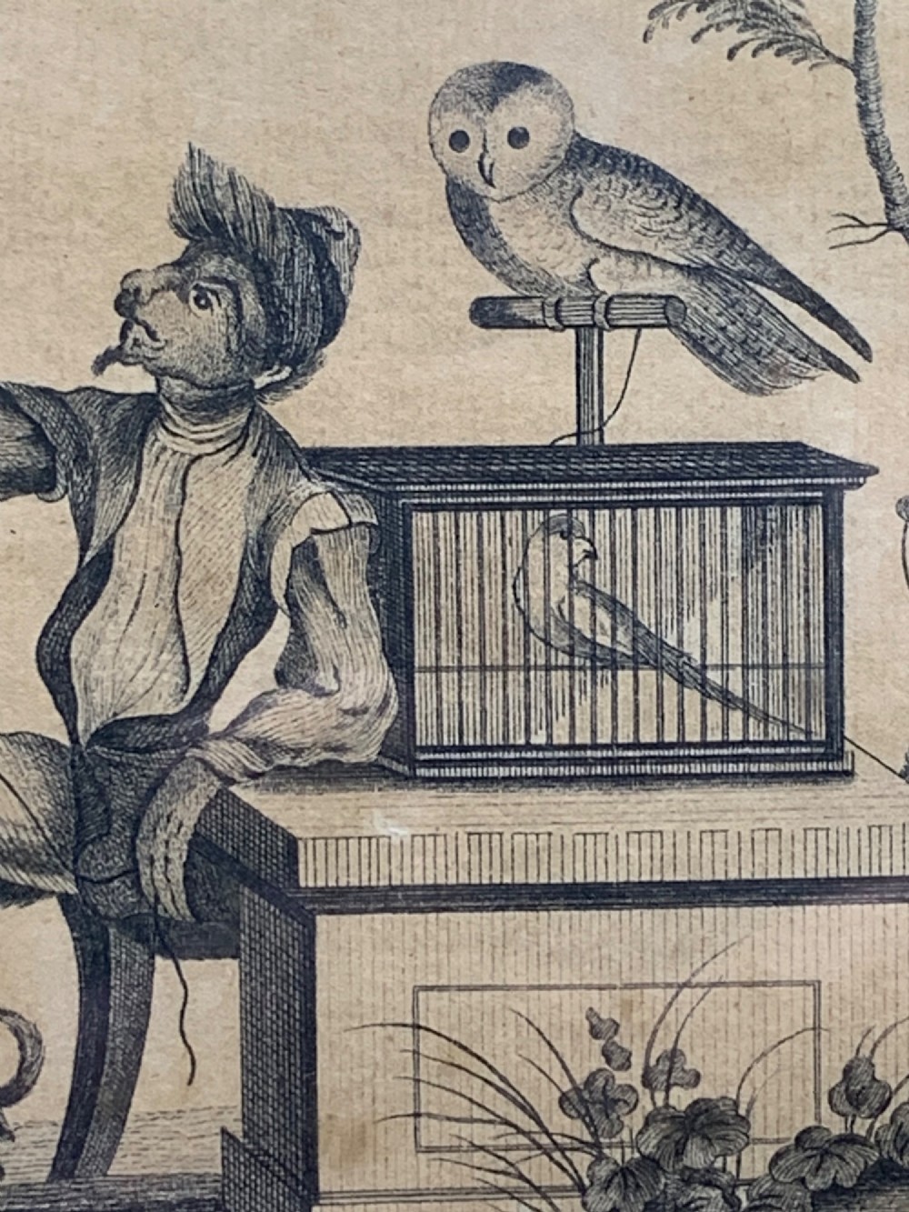 An 18th-century monochrome etching featuring a clothed monkey seated beside a birdcage surrounded by birds, enclosed in an ornate gold leaf frame. View VI