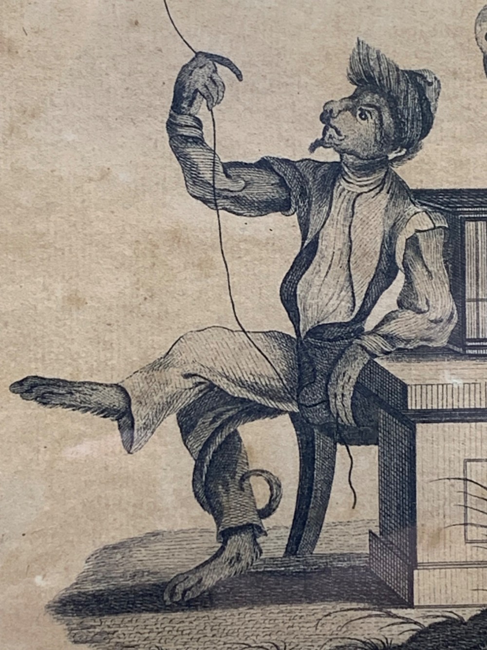 An 18th-century monochrome etching featuring a clothed monkey seated beside a birdcage surrounded by birds, enclosed in an ornate gold leaf frame. View VIII