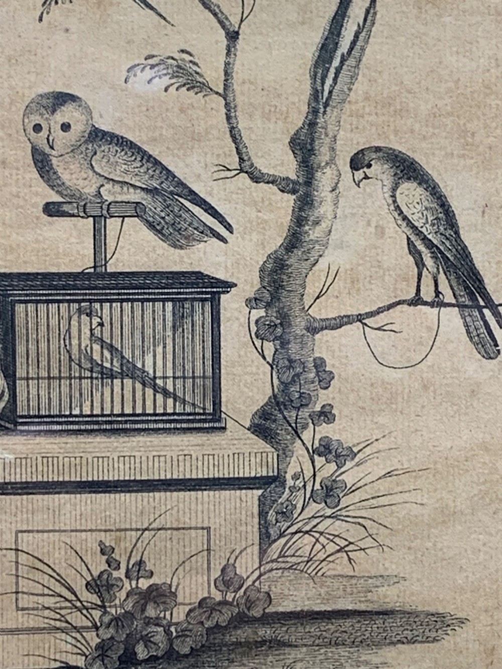 An 18th-century monochrome etching featuring a clothed monkey seated beside a birdcage surrounded by birds, enclosed in an ornate gold leaf frame. View IX