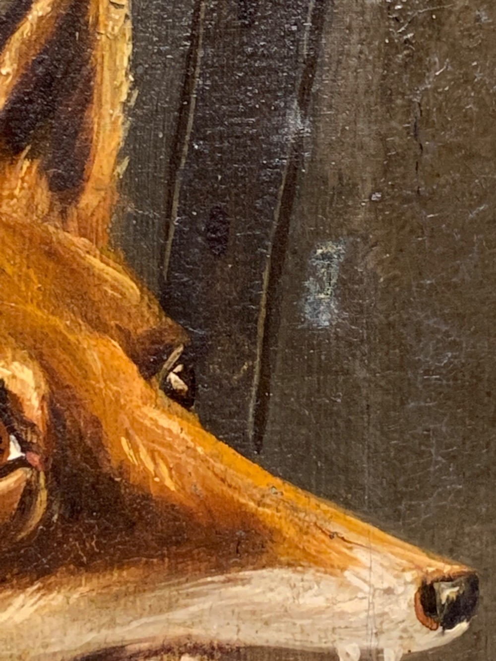 A 19th-century oil painting on canvas depicting a fox head trophy alongside a brass hunting horn and whip against a dark brown background. View VII