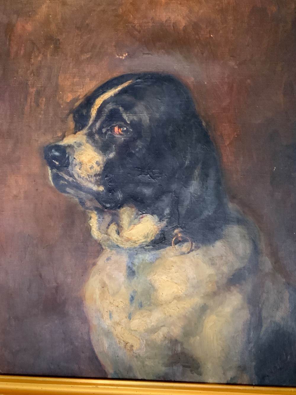 An early twentieth-century French School oil painting depicting a profile portrait of a dark brown and cream dog in a gold gilt frame. View II