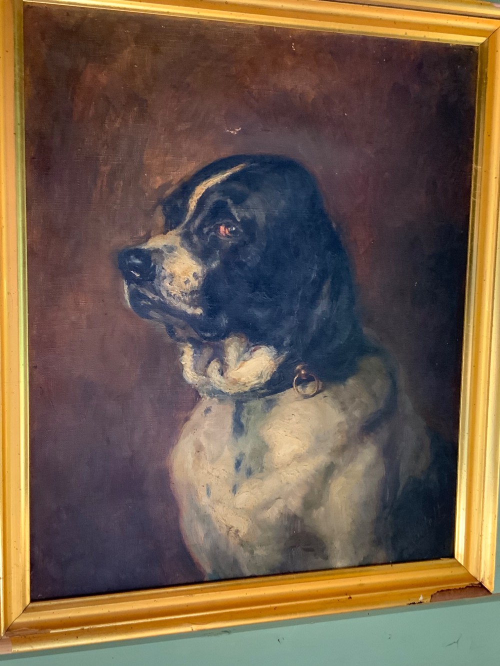 An early twentieth-century French School oil painting depicting a profile portrait of a dark brown and cream dog in a gold gilt frame.