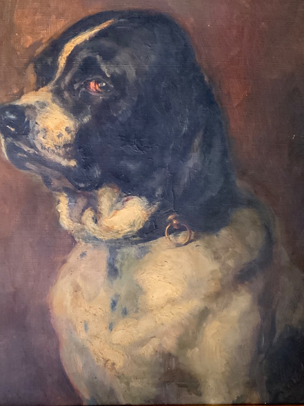 An early twentieth-century French School oil painting depicting a profile portrait of a dark brown and cream dog in a gold gilt frame. View III
