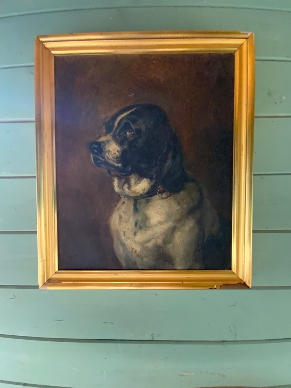 An early twentieth-century French School oil painting depicting a profile portrait of a dark brown and cream dog in a gold gilt frame. View IV