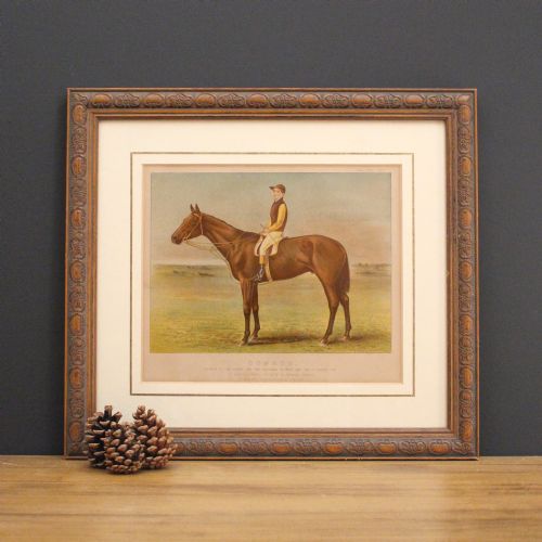 Antique Equestrian Print, English Race Horse & Jockey