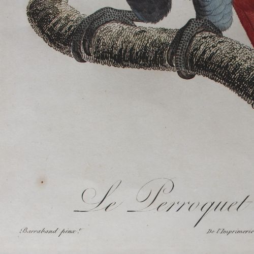 fig 2. After Jacques Barraband, Le Perroquet Cendre, Nature, Parrot, Birds