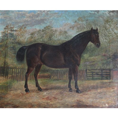 fig 1. Portrait Of Alonzo, A Dark Brown Stallion, Provincial English Horse Painting