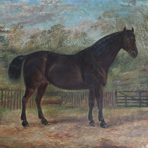 fig 2. Portrait Of Alonzo, A Dark Brown Stallion, Provincial English Horse Painting
