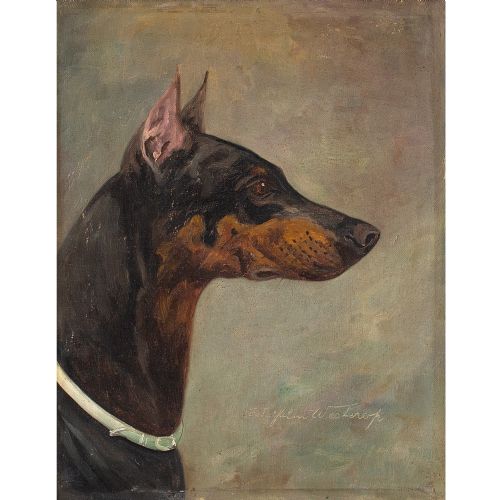 fig 1. Wilhelm Westerop, Portrait Of A Doberman, Oil Painting