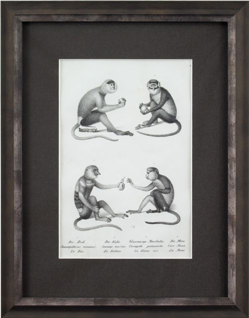 Karl Joseph Brodtmann, Long Tailed Monkeys - Antique Lithograph