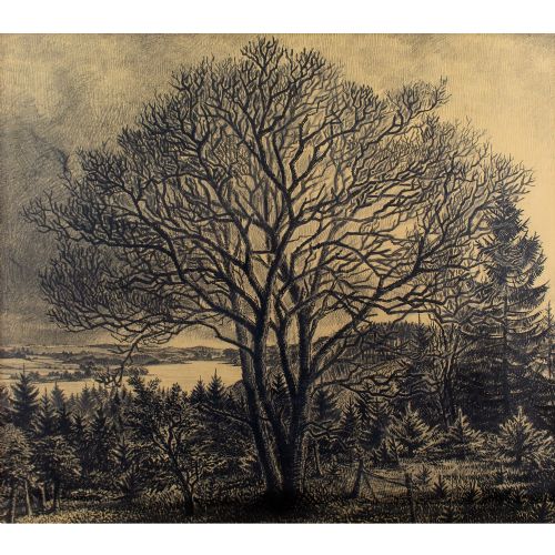 fig 1. Mads Stage, River Landscape With Tree - Large Antique Charcoal Drawing