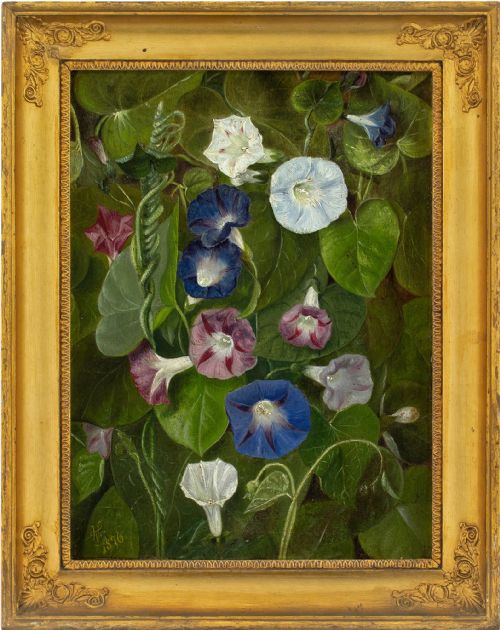 19th-century Danish School, Flowering Bindweed - Antique Oil Painting