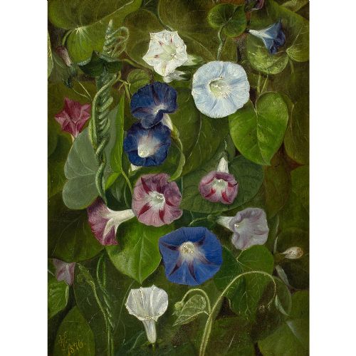 fig 1. 19th-Century Danish School, Flowering Bindweed - Antique Oil Painting