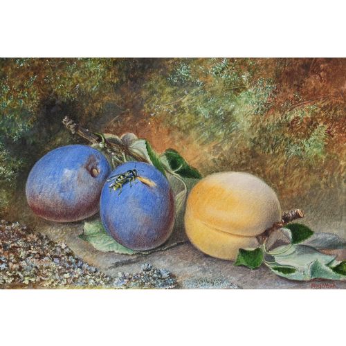 fig 1. Mary A Hull, Still Life With Still Life With Plums, Peach & Wasp - Antique Watercolour