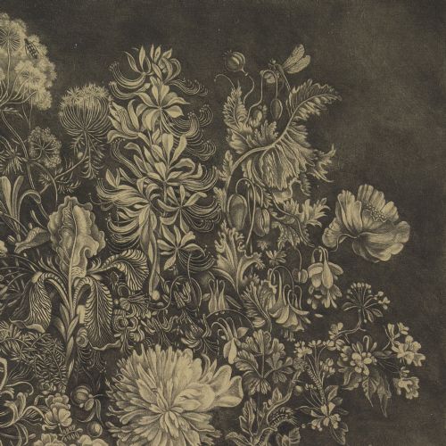 fig 1. Stig Borglind, Flora Suecica II - Vintage Etching