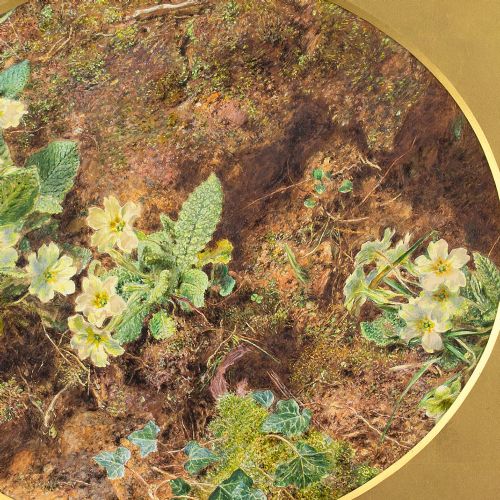fig 3. William Henry Hunt OWS, Still Life With Primroses - Antique Watercolour