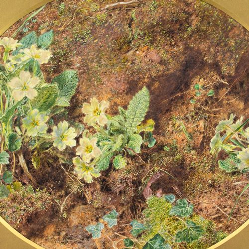 fig 4. William Henry Hunt OWS, Still Life With Primroses - Antique Watercolour