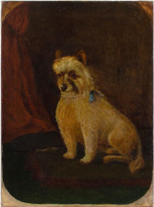 James Coutts Michie Arsa, Portrait of a Terrier - Antique Oil Painting