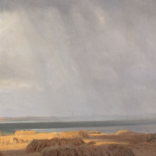 ALFRED BROGE COASTAL LANDSCAPE WITH RAIN ANTIQUE OIL PAINTING - ADDITIONAL PHOTO 7