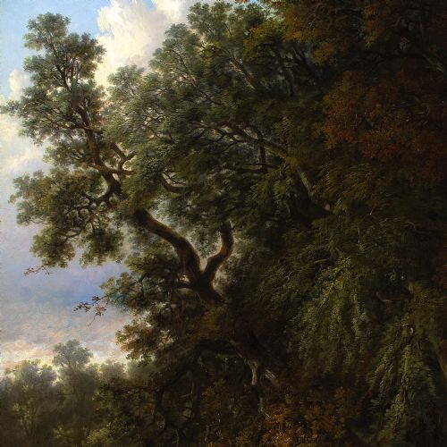 HENRY LADBROOKE SCENE NEAR WALSINGHAM NORFOLK ANTIQUE OIL PAINTING - ADDITIONAL PHOTO 7