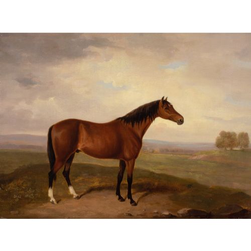 EARLY 19THCENTURY ENGLISH SCHOOL BAY HORSE IN A LANDSCAPE ANTIQUE OIL PAINTING - ADDITIONAL PHOTO 2