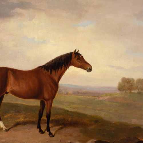 EARLY 19THCENTURY ENGLISH SCHOOL BAY HORSE IN A LANDSCAPE ANTIQUE OIL PAINTING - ADDITIONAL PHOTO 4