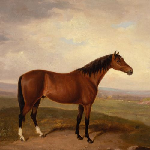 EARLY 19THCENTURY ENGLISH SCHOOL BAY HORSE IN A LANDSCAPE ANTIQUE OIL PAINTING - ADDITIONAL PHOTO 5