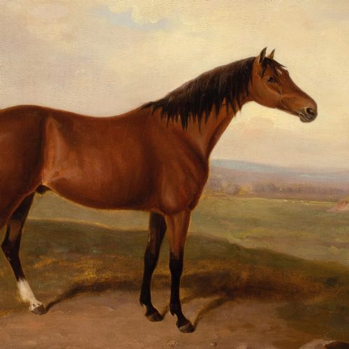 EARLY 19THCENTURY ENGLISH SCHOOL BAY HORSE IN A LANDSCAPE ANTIQUE OIL PAINTING - ADDITIONAL PHOTO 6