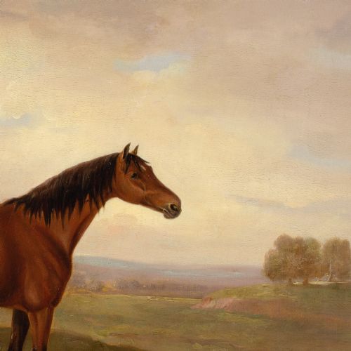 EARLY 19THCENTURY ENGLISH SCHOOL BAY HORSE IN A LANDSCAPE ANTIQUE OIL PAINTING - ADDITIONAL PHOTO 7