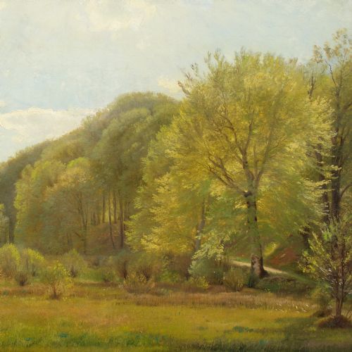 CARL FREDERIK AAGAARD VIEW FROM DYREHAVEN COPENHAGEN ANTIQUE OIL PAINTING - ADDITIONAL PHOTO 5