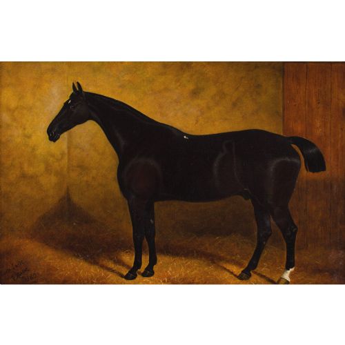 EDWARD CORBET PORTRAIT OF BLACK JACK A DARK BAY HUNTER ANTIQUE OIL PAINTING - ADDITIONAL PHOTO 1