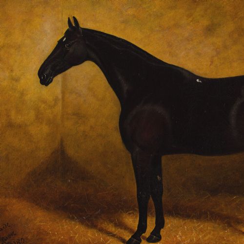 EDWARD CORBET PORTRAIT OF BLACK JACK A DARK BAY HUNTER ANTIQUE OIL PAINTING - ADDITIONAL PHOTO 4
