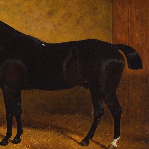 EDWARD CORBET PORTRAIT OF BLACK JACK A DARK BAY HUNTER ANTIQUE OIL PAINTING - ADDITIONAL PHOTO 6
