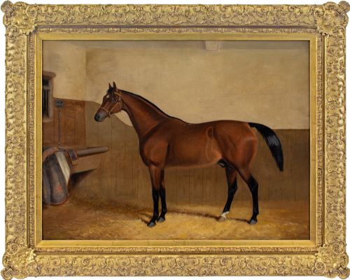 19thcentury english school portrait of laughing stock a bay racehorse antique oil painting - CATEGORY: ANTIQUE ART - DATED 1910