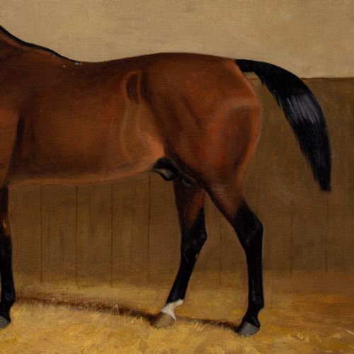 19THCENTURY ENGLISH SCHOOL PORTRAIT OF LAUGHING STOCK A BAY RACEHORSE ANTIQUE OIL PAINTING - ADDITIONAL PHOTO 5
