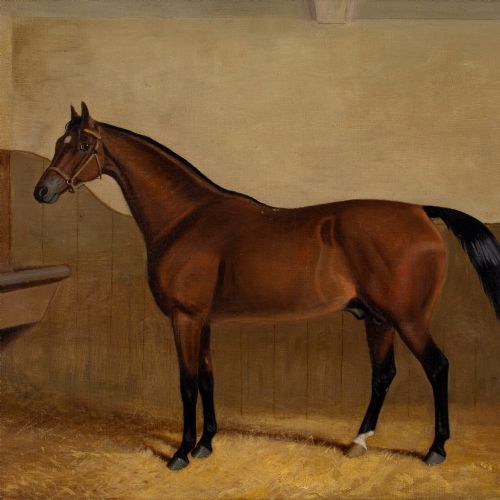19THCENTURY ENGLISH SCHOOL PORTRAIT OF LAUGHING STOCK A BAY RACEHORSE ANTIQUE OIL PAINTING - ADDITIONAL PHOTO 6