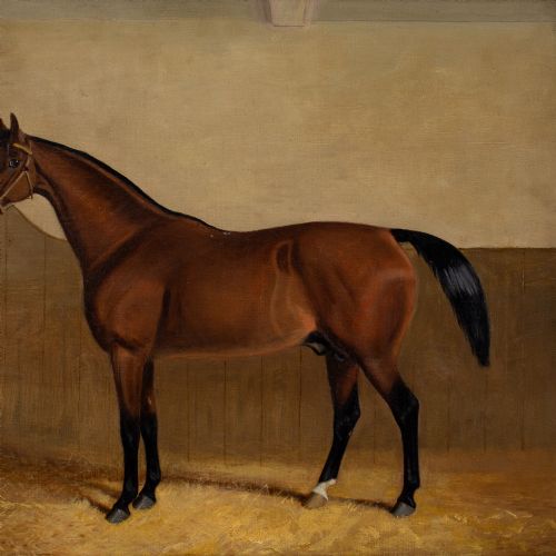 19THCENTURY ENGLISH SCHOOL PORTRAIT OF LAUGHING STOCK A BAY RACEHORSE ANTIQUE OIL PAINTING - ADDITIONAL PHOTO 7