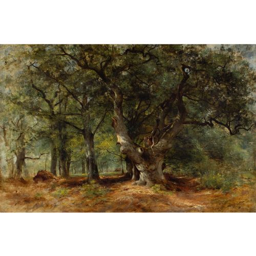 WILLIAM GOSLING RBA AN OAK TREE IN A SUNLIT GLADE ANTIQUE OIL PAINTING - ADDITIONAL PHOTO 1