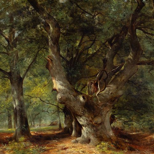 WILLIAM GOSLING RBA AN OAK TREE IN A SUNLIT GLADE ANTIQUE OIL PAINTING - ADDITIONAL PHOTO 4