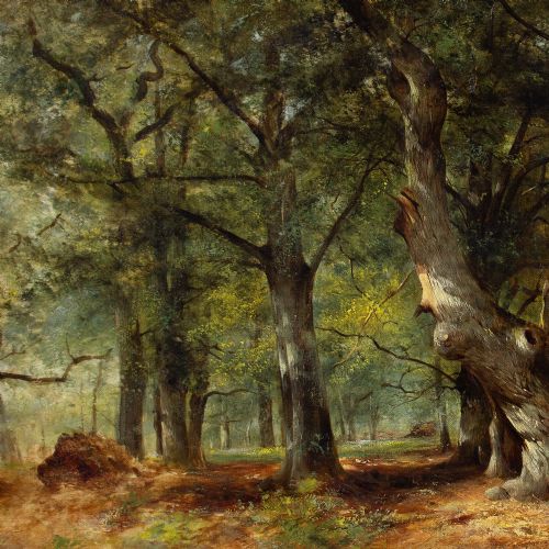WILLIAM GOSLING RBA AN OAK TREE IN A SUNLIT GLADE ANTIQUE OIL PAINTING - ADDITIONAL PHOTO 5