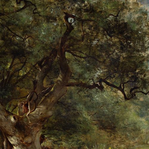 WILLIAM GOSLING RBA AN OAK TREE IN A SUNLIT GLADE ANTIQUE OIL PAINTING - ADDITIONAL PHOTO 6