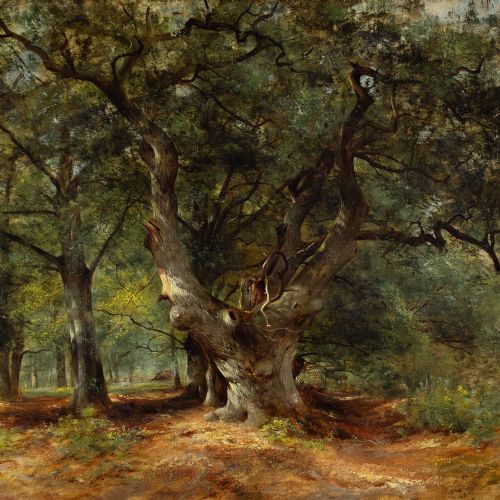 WILLIAM GOSLING RBA AN OAK TREE IN A SUNLIT GLADE ANTIQUE OIL PAINTING - ADDITIONAL PHOTO 7