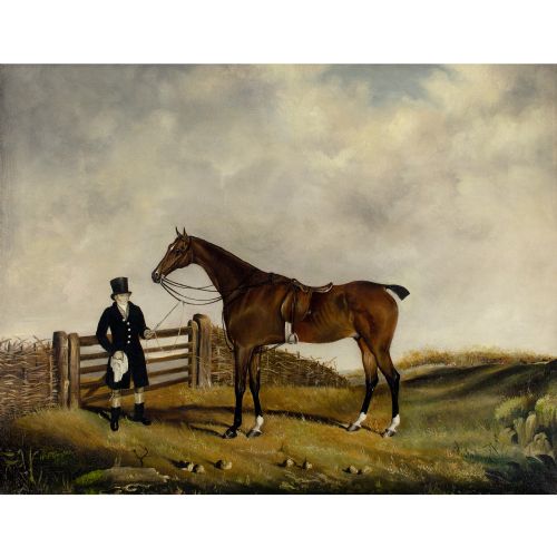 WS COOPER A BAY HUNTER GROOM IN A LANDSCAPE - ADDITIONAL PHOTO 1