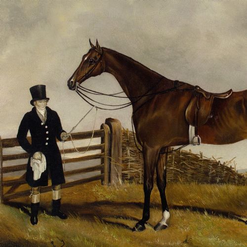 WS COOPER A BAY HUNTER GROOM IN A LANDSCAPE - ADDITIONAL PHOTO 5