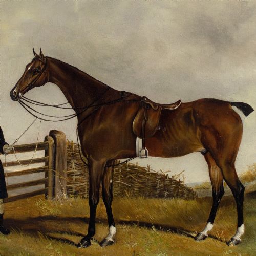 WS COOPER A BAY HUNTER GROOM IN A LANDSCAPE - ADDITIONAL PHOTO 6