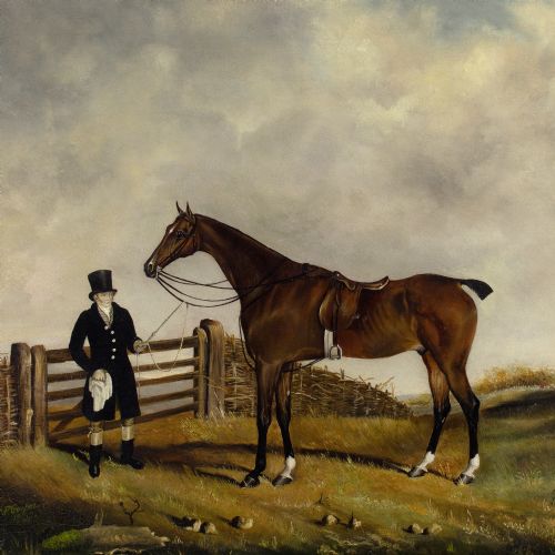 WS COOPER A BAY HUNTER GROOM IN A LANDSCAPE - ADDITIONAL PHOTO 7
